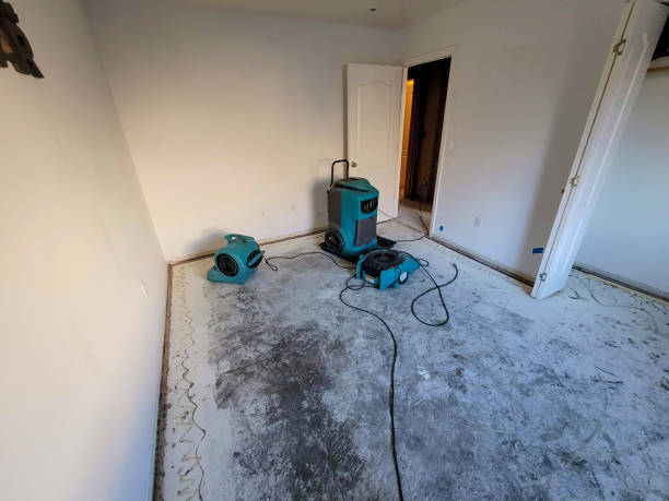 Carpet water damage restoration in Aptos Hills Larkin Valley, CA