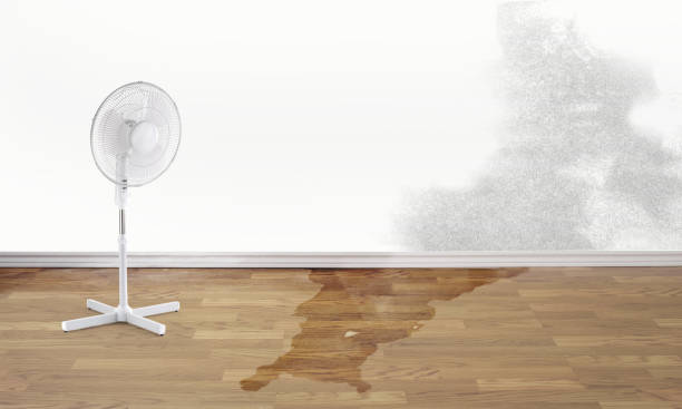 Best Carpet water damage restoration  in Aptos Hills Larkin Valley, CA